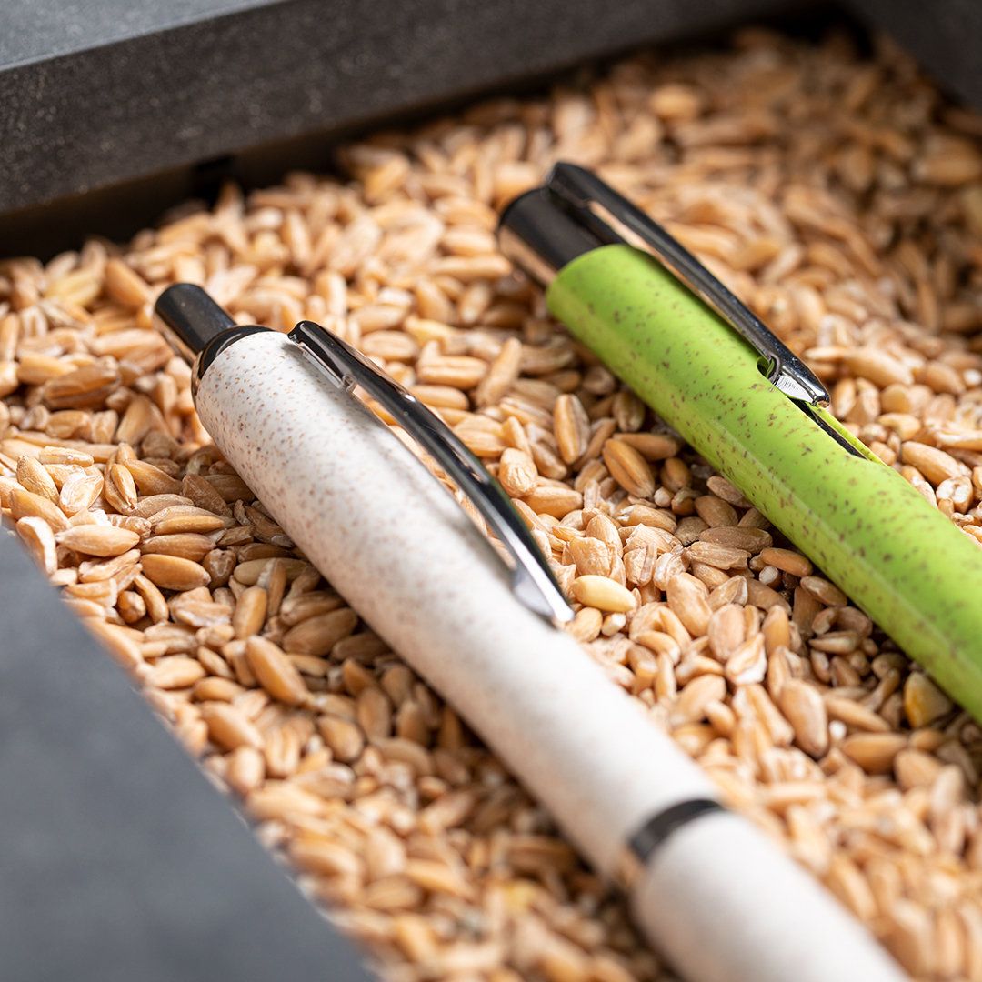 Penna a Sfera Prodox