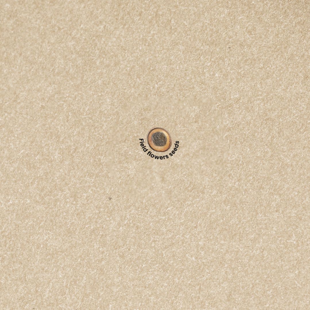 Bloc-Notes con Semi Baupres